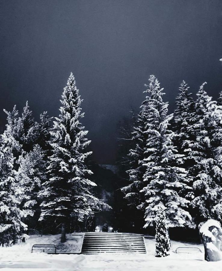 HASI hotel Jermuk Exteriér fotografie